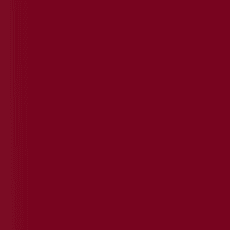 251