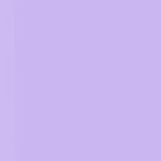 081