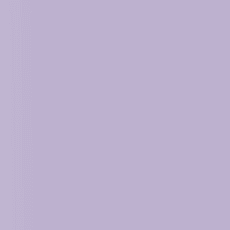 041