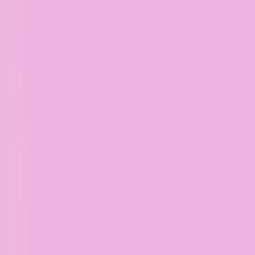 043