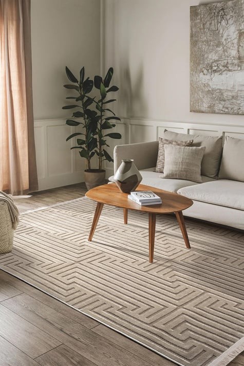 Pier İskandinav Desenli Modern Salon Halısı - PR 03 BEİGE