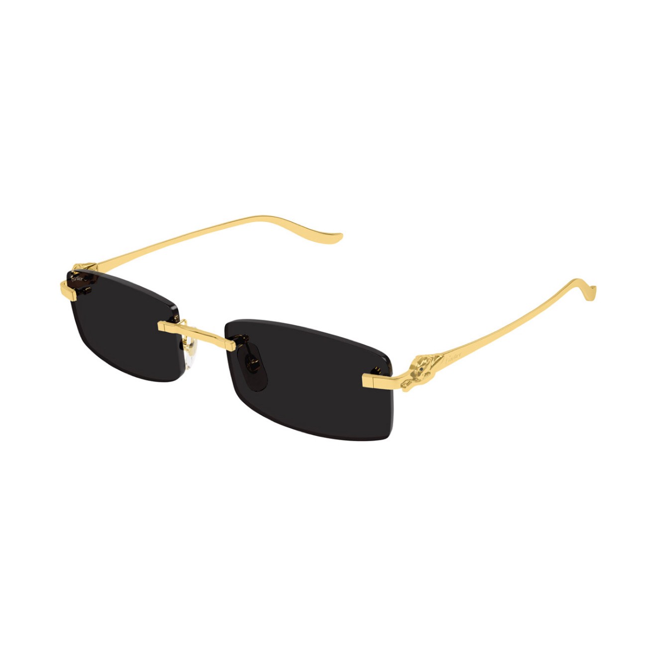 Cartier - CT0552S Black