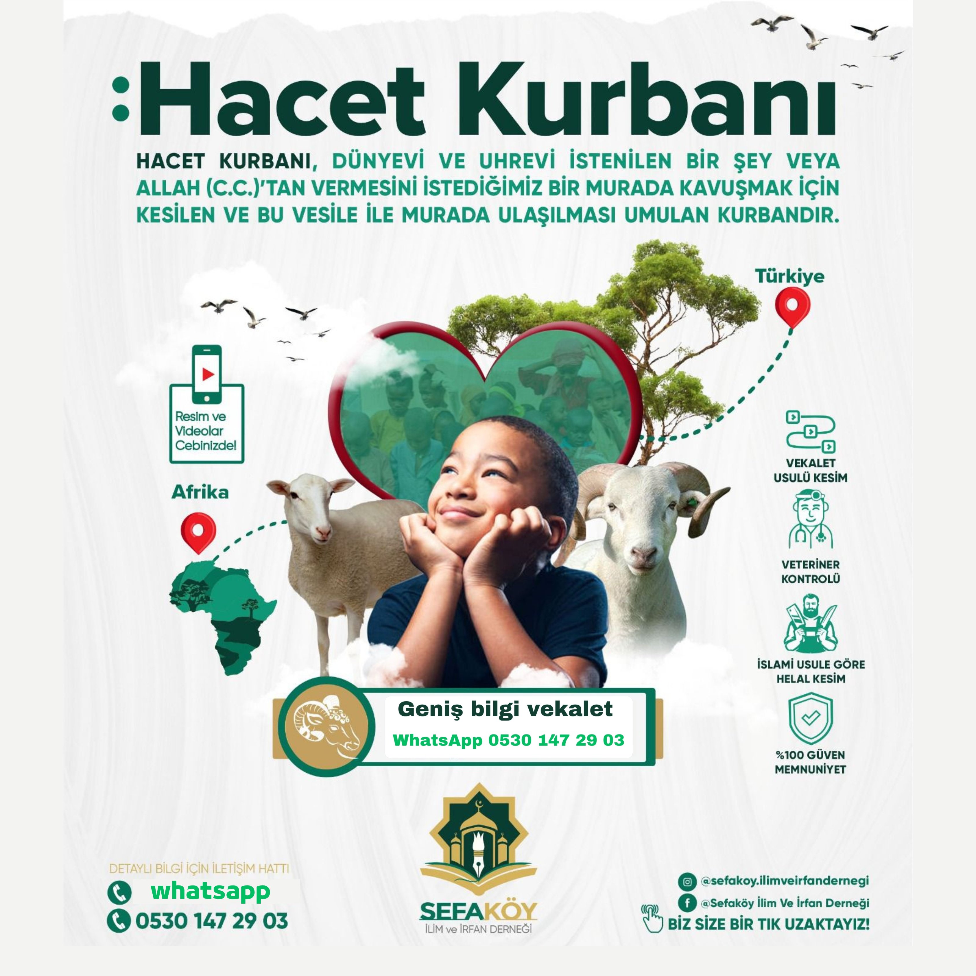 Akika Kurbanı bilgi kayıt WhatsApp 0530 147 29 03