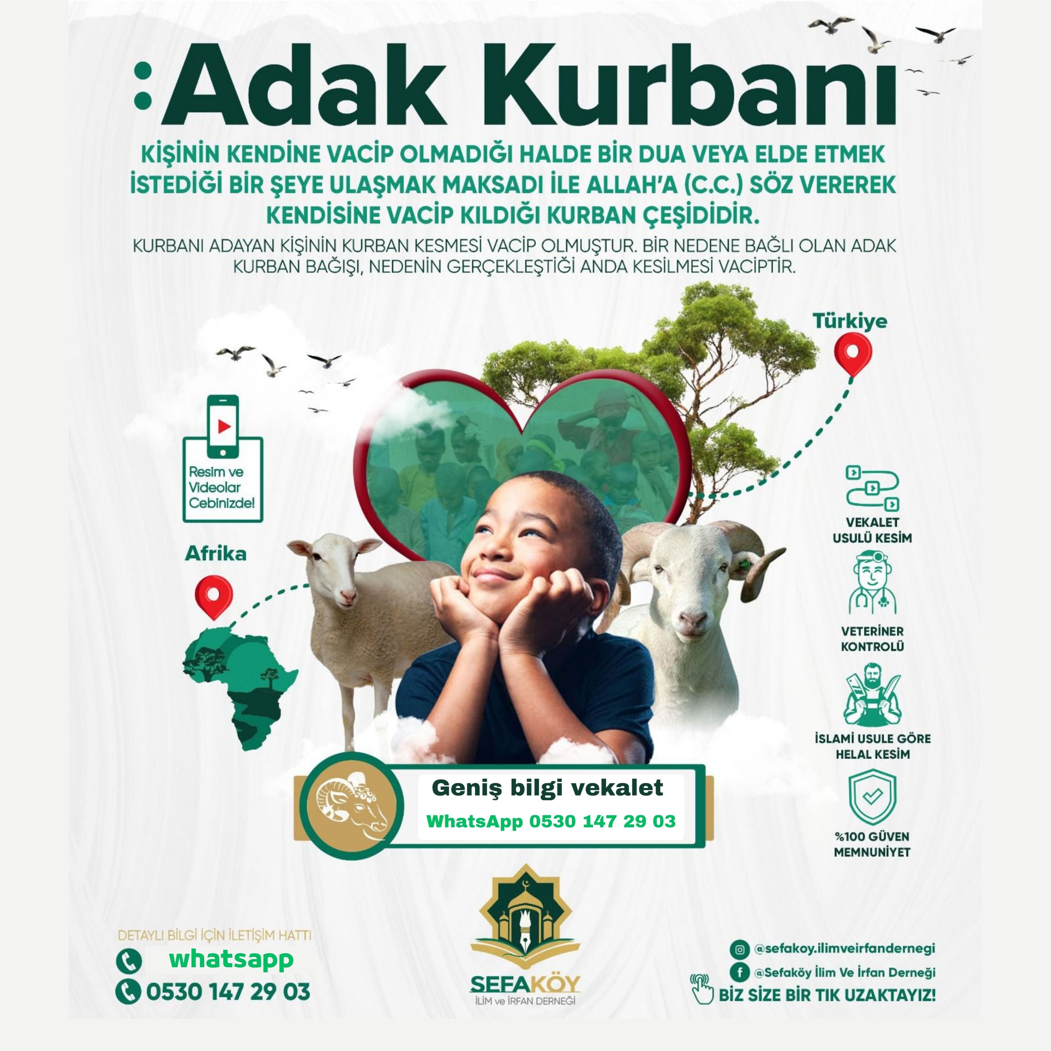 Akika Kurbanı bilgi kayıt WhatsApp 0530 147 29 03