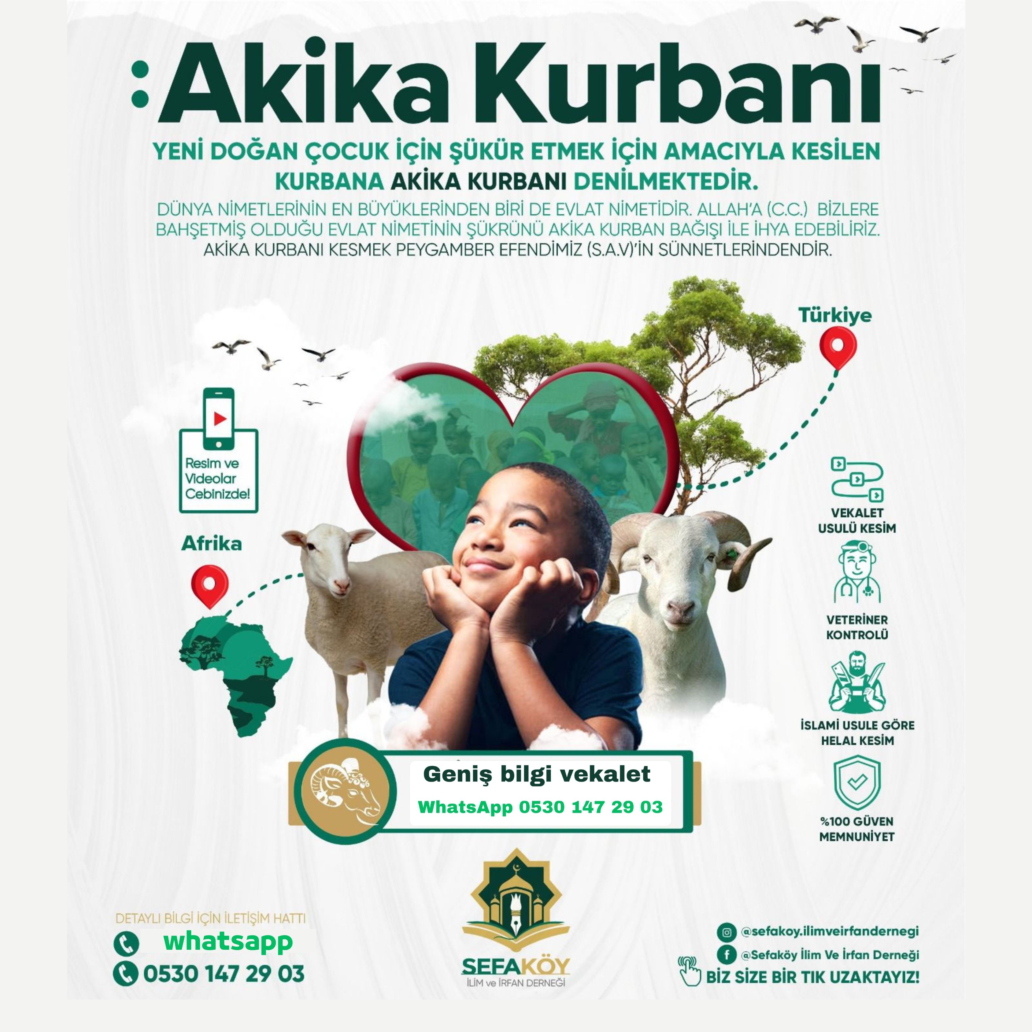 Akika Kurbanı bilgi kayıt WhatsApp 0530 147 29 03