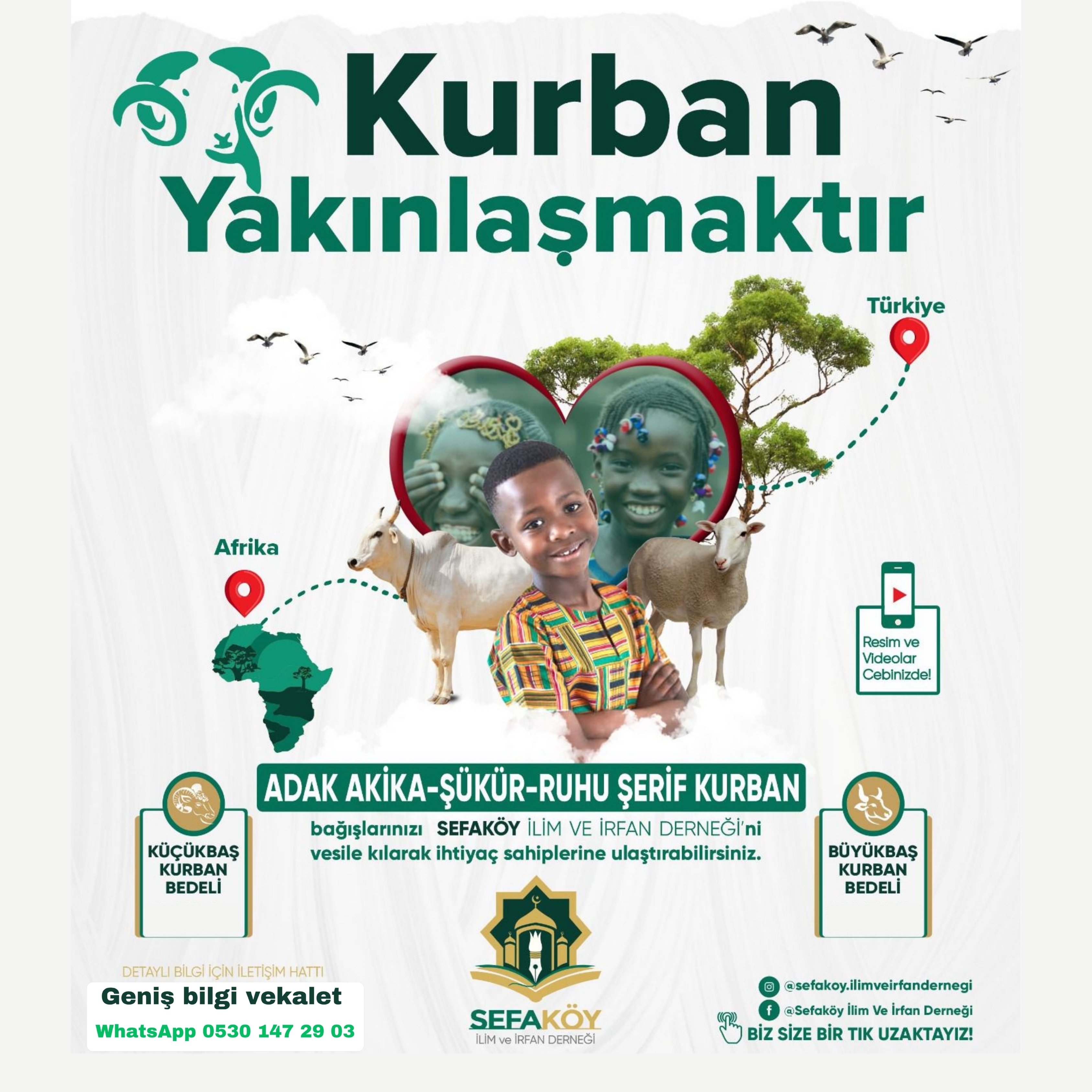 Şükür Kurbanı bilgi kayıt WhatsApp 0530 147 29 03
