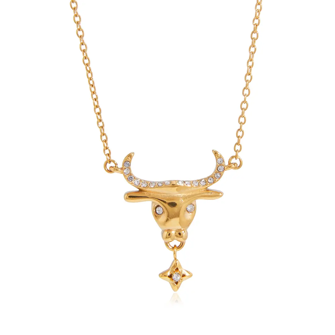 Wanmonk Necklace | Çelik Kolye