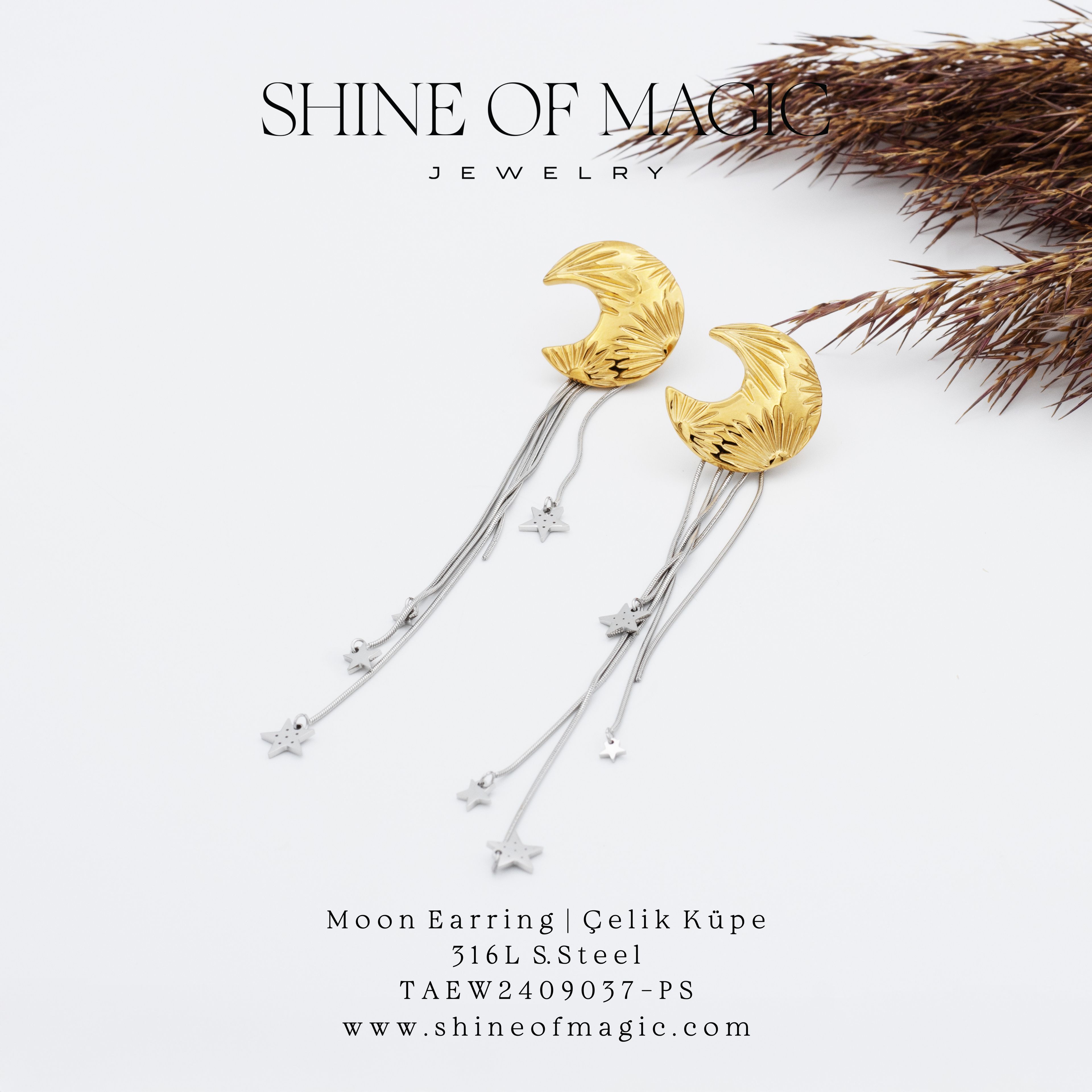 Moon Earring | Çelik Küpe