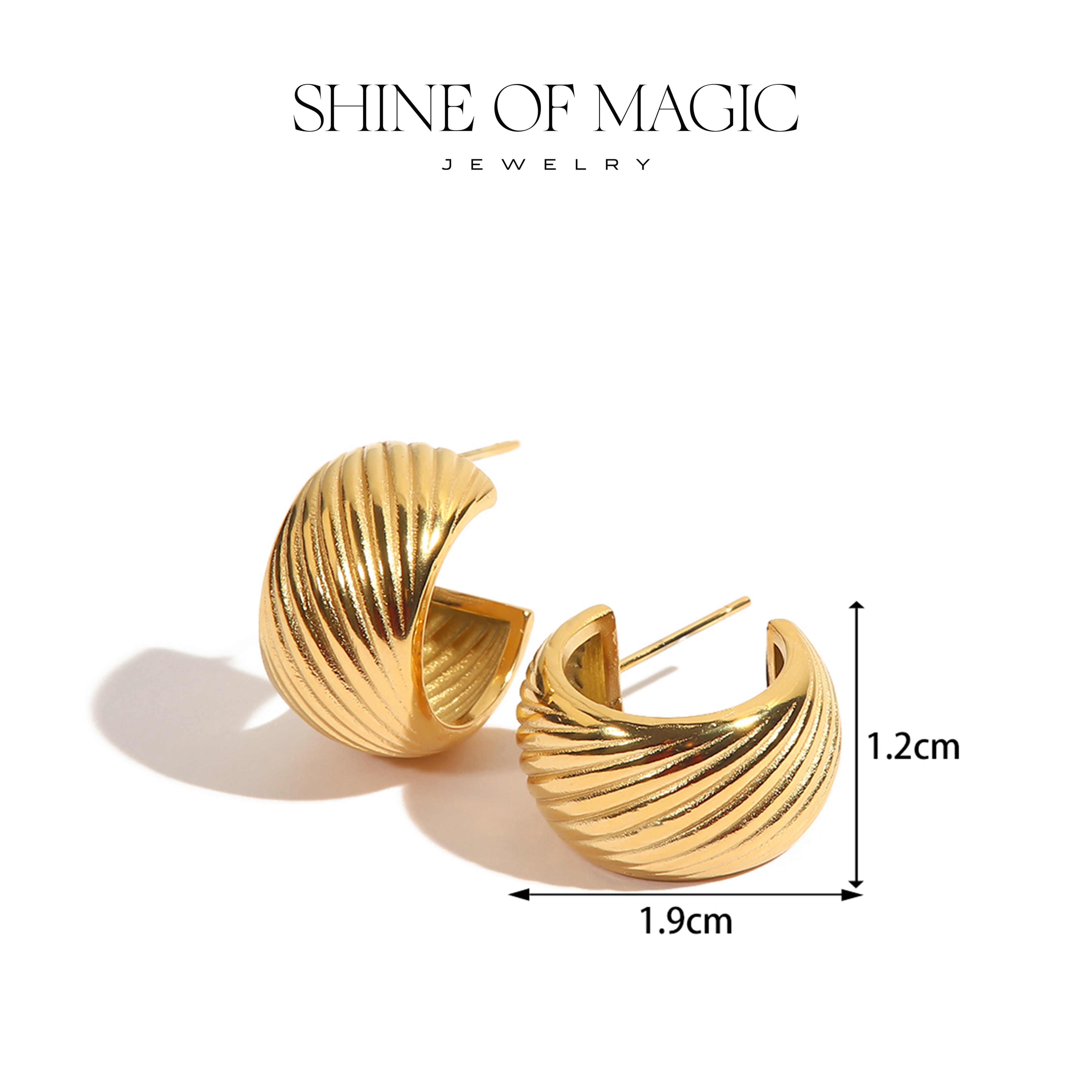 Veyra Earring | Çelik Küpe