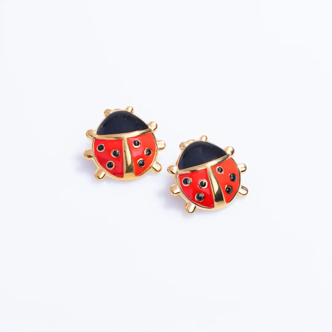 Ladiora Earring | Çelik Küpe 3