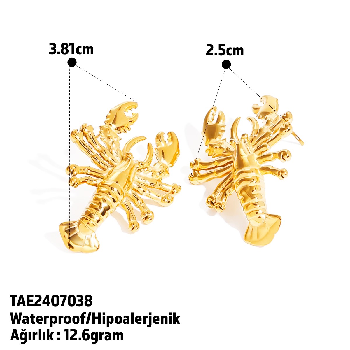 Crustacean Earring | Çelik Küpe