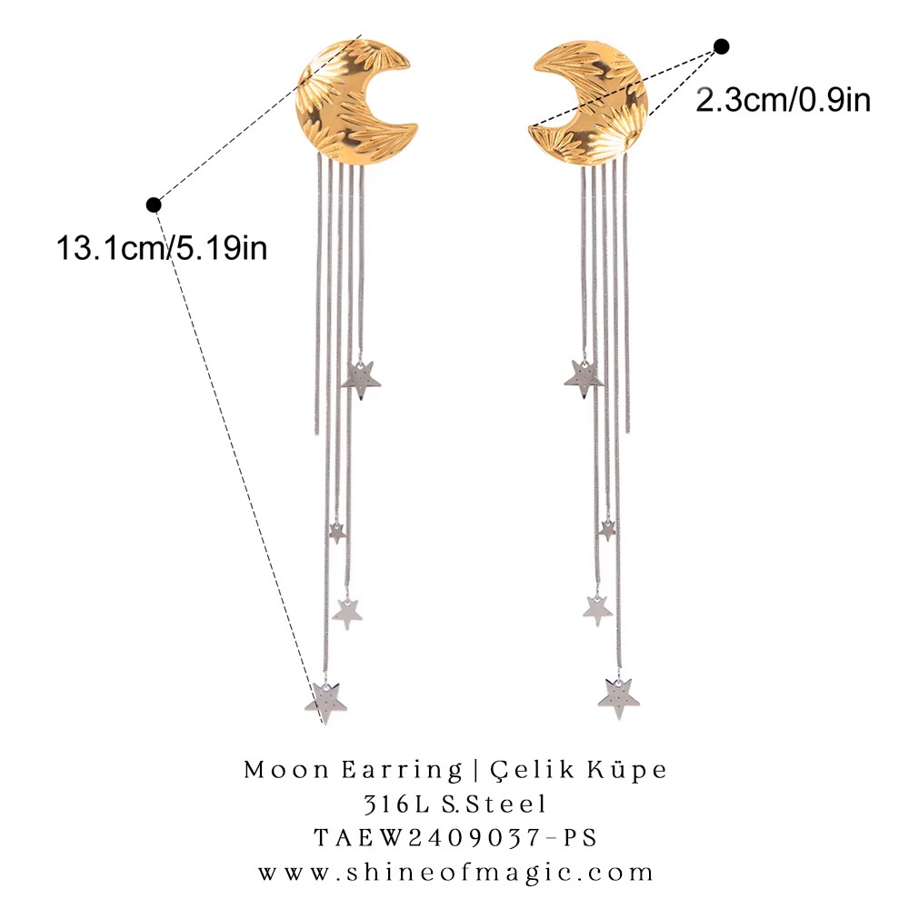 Moon Earring | Çelik Küpe