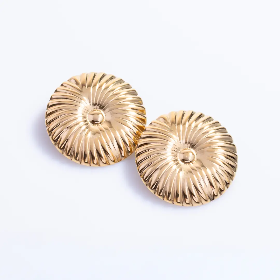 Aurexa Earring | Çelik Küpe