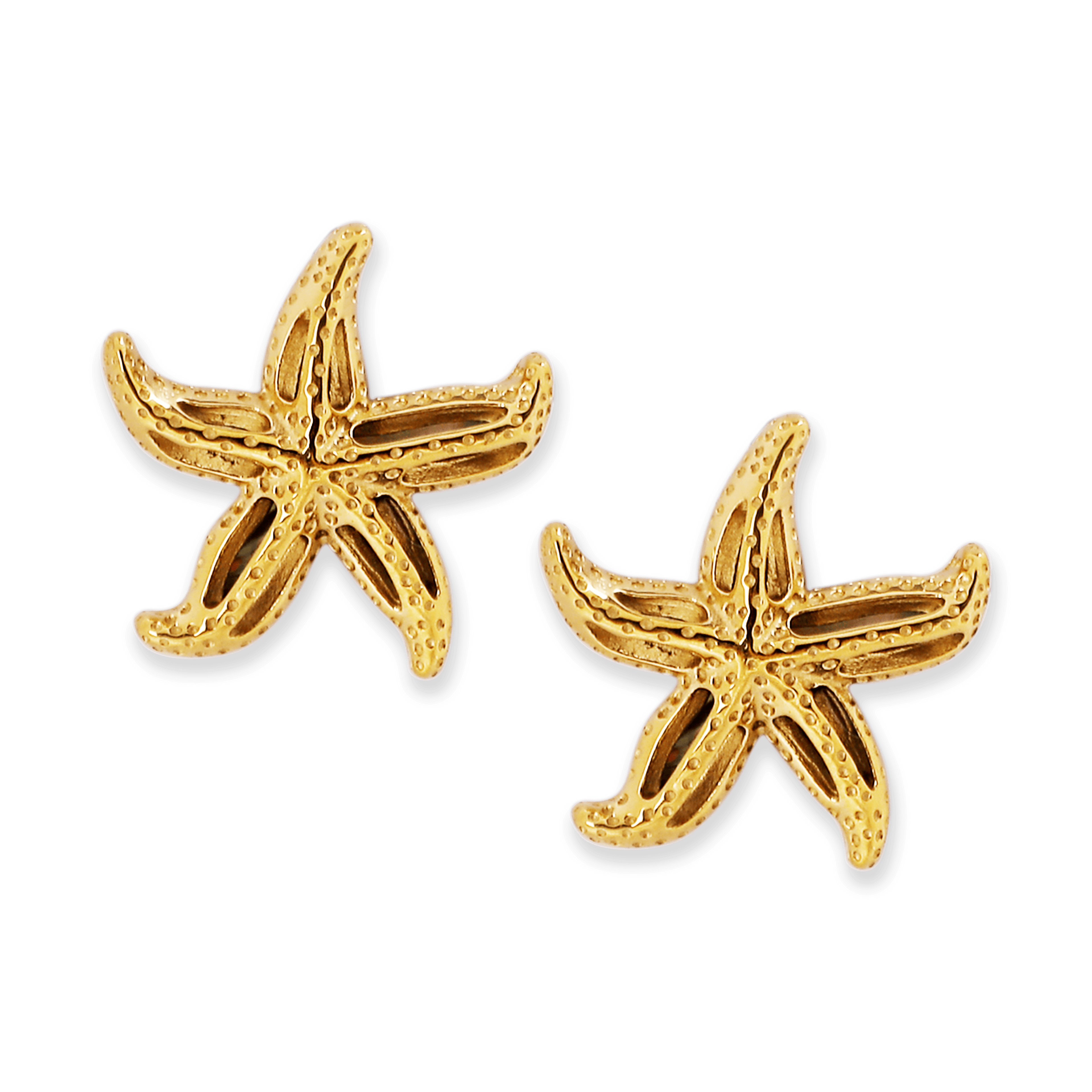 Dorada Earring | Çelik Küpe