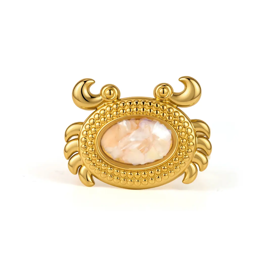 Zanox Ring | Çelik Yüzük 3