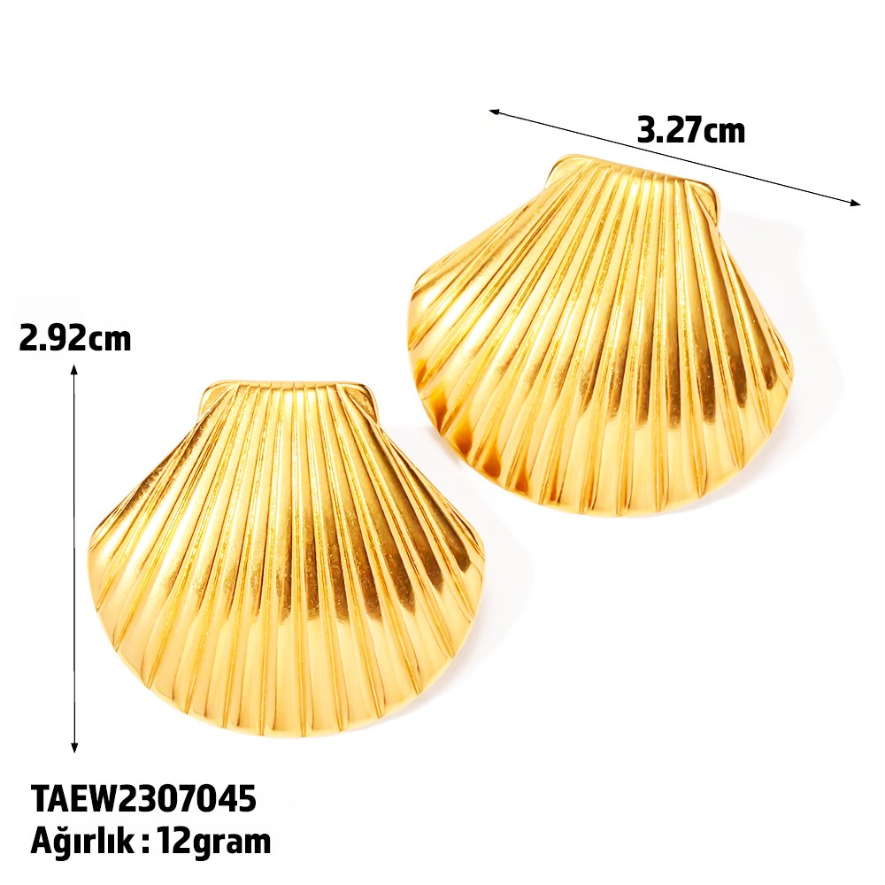 Golden Seashell Earring | Çelik Küpe