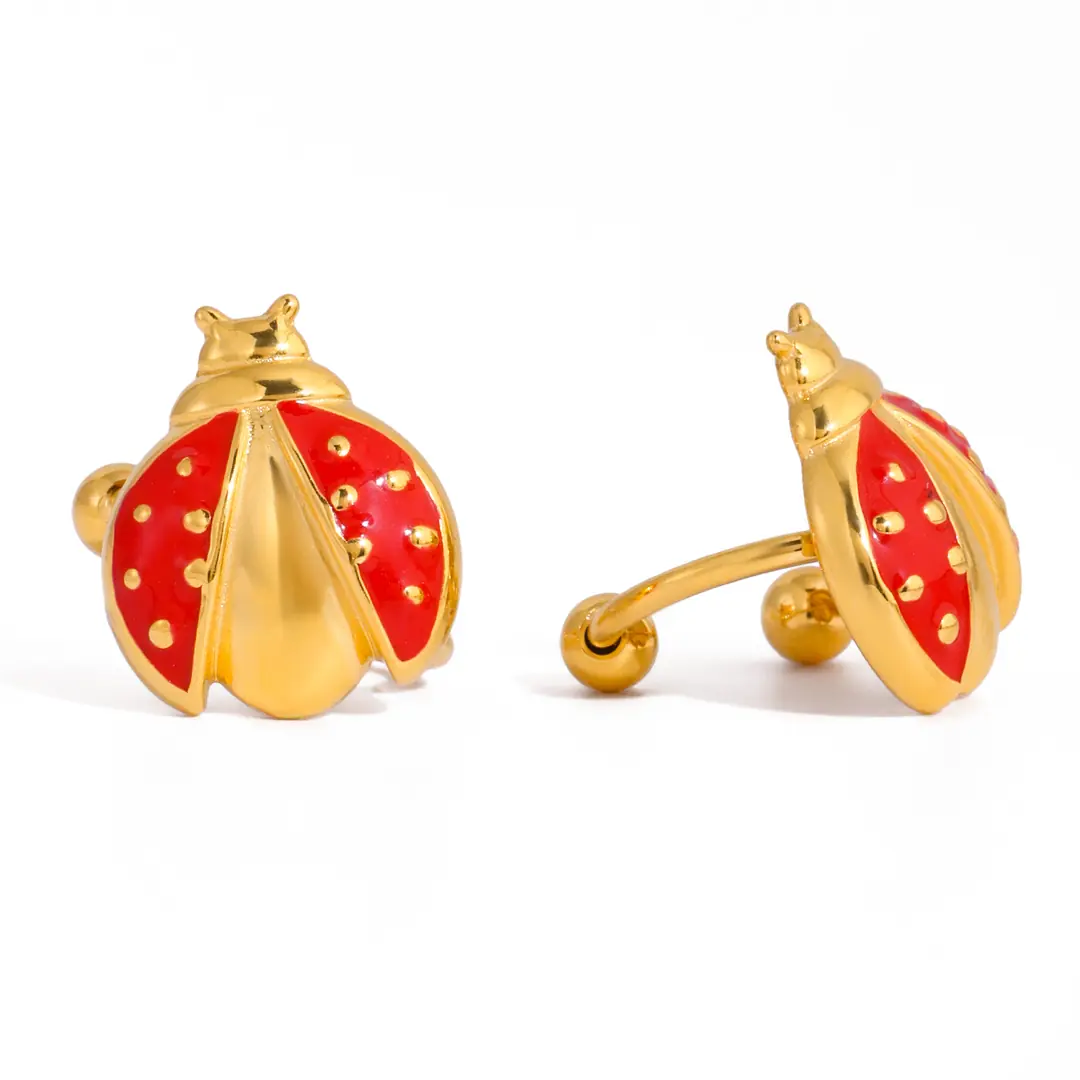 Vaole Earring | Çelik Küpe