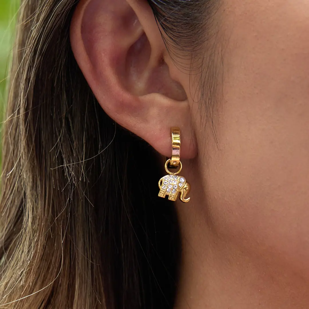 Tembela Earring | Çelik Küpe 4