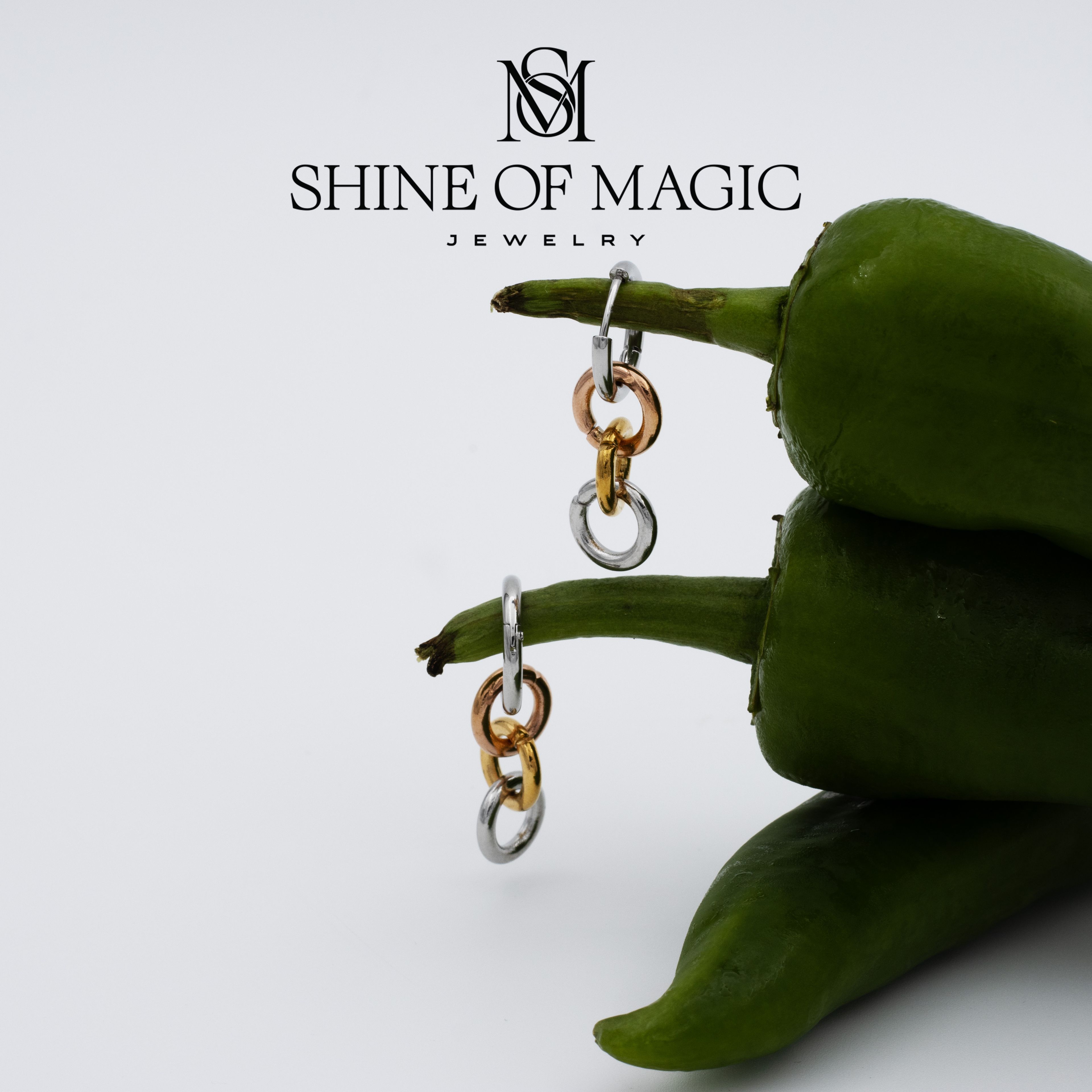 Citta Earring | Çelik Küpe