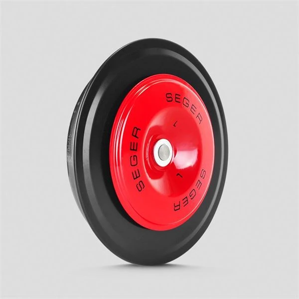 DİSK KORNA BÜYÜK KAFA DIDIT KALIN SES 24V 45CK24.000.02K