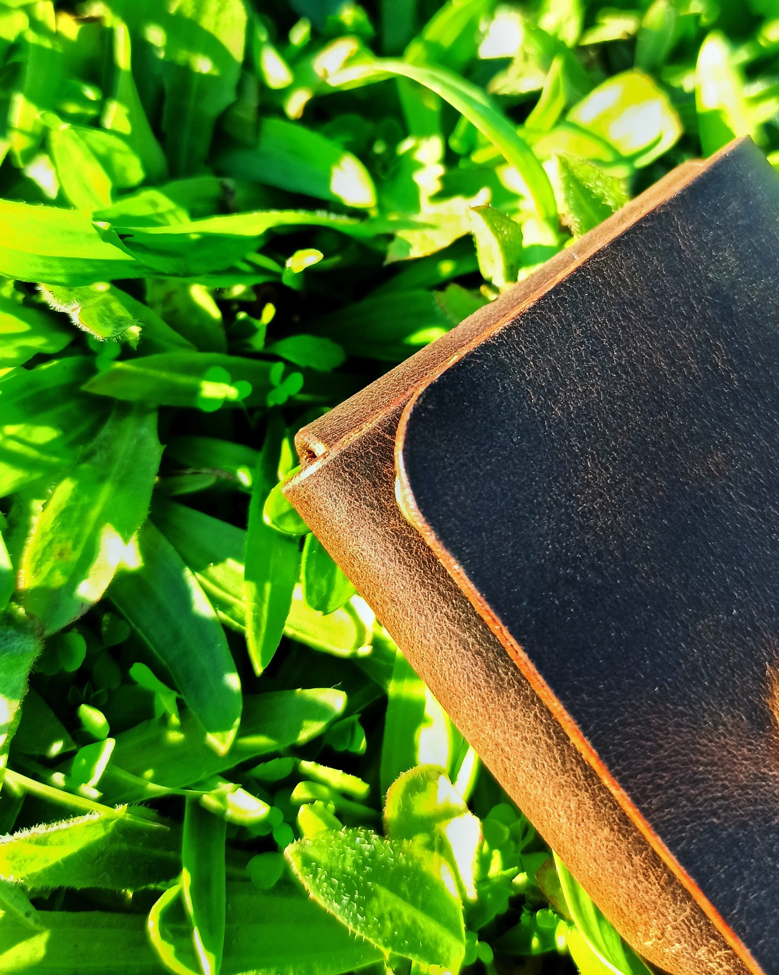 Avuç İçi Yatay Kartlık