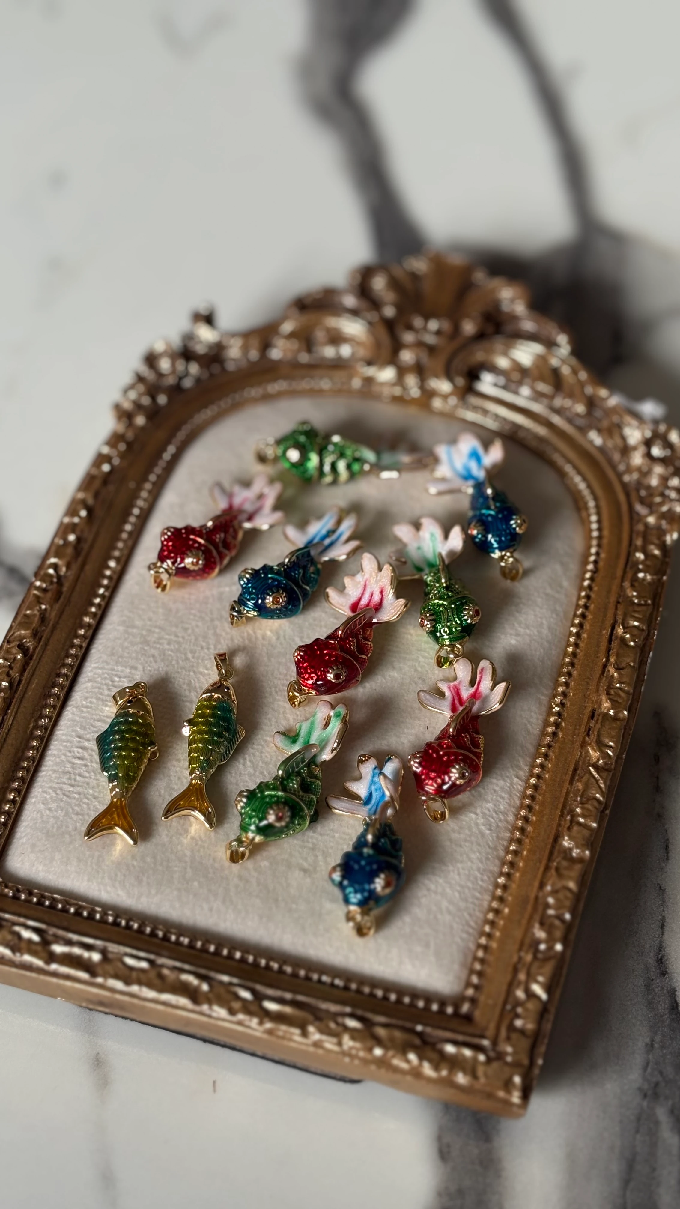 renkli beta balık charm