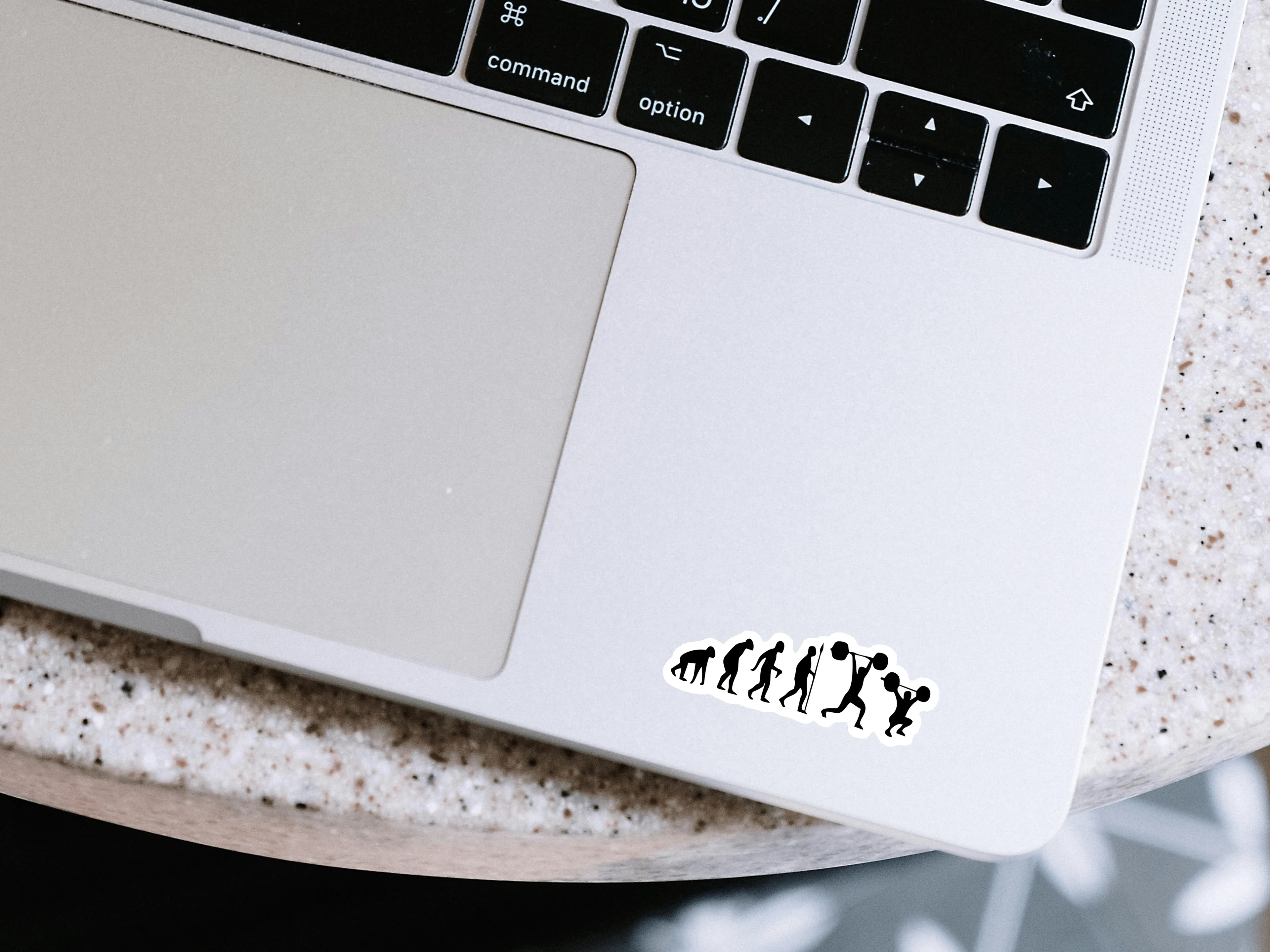 Evrimin Son Hali: Sporcu