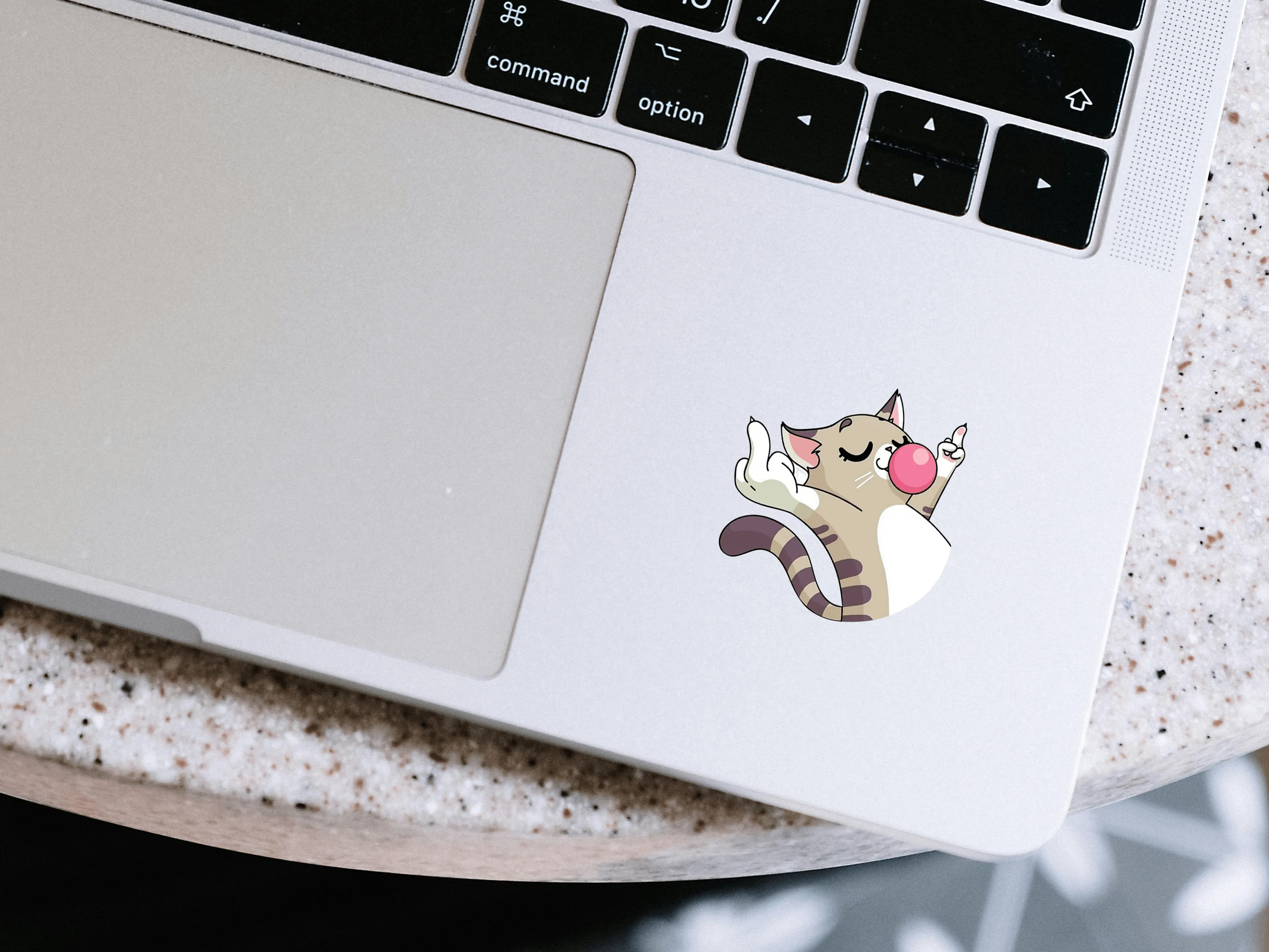 Tavrını Koyan Kedi