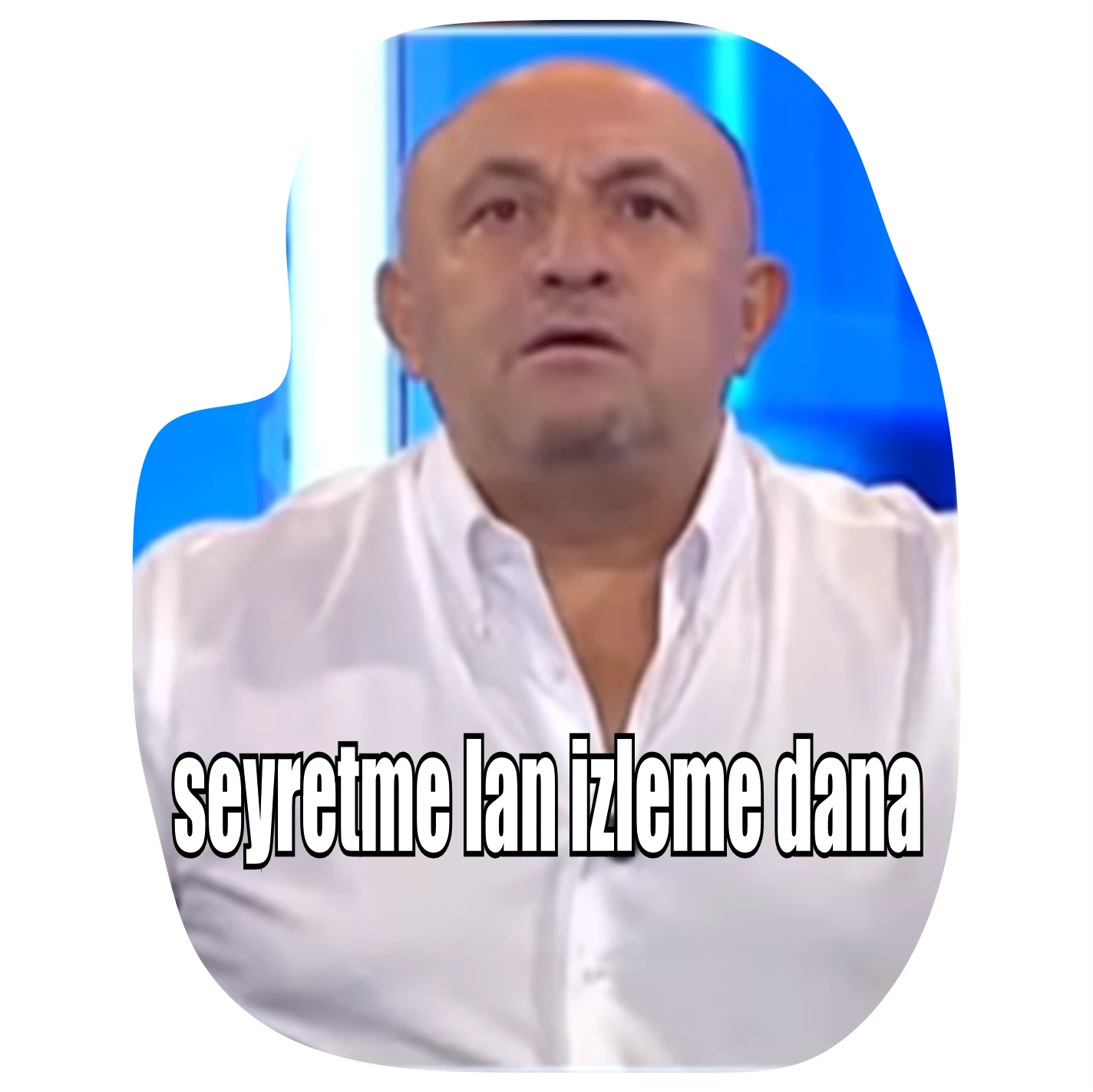 Seyretme lan izleme dana