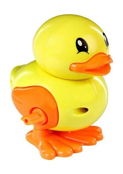 Kurmalıgiller Ördek