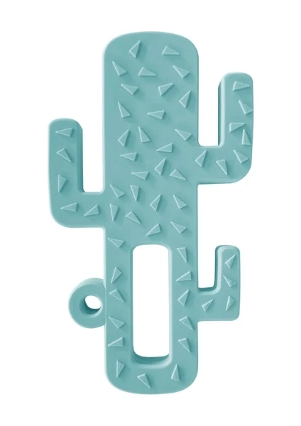 OiOi Kaktüs Diş Kaşıyıcı 3+ Ay Aqua Green