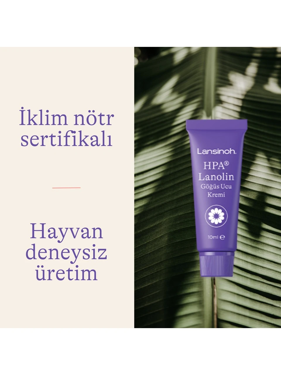 Lansinoh Lanolin Göğüs Ucu Kremi 10 ml