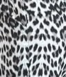 gri leopar