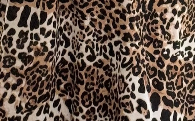 leopar