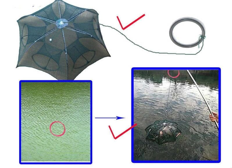 Powerex Balık Tuzağı (Pinter) Şemsiye Model 6 Girişli