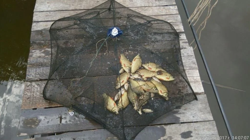 Powerex Balık Tuzağı (Pinter) Şemsiye Model 6 Girişli