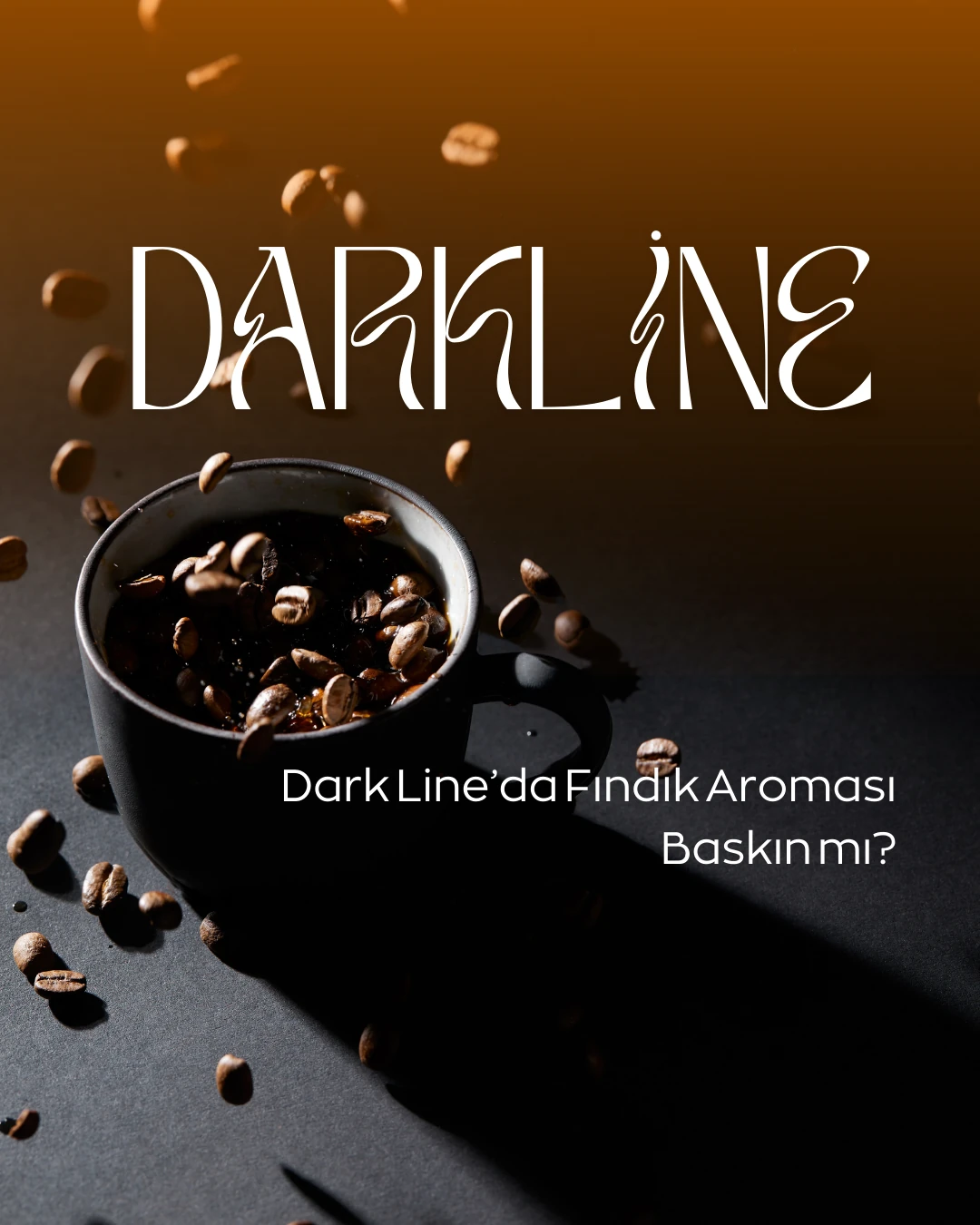Dark Line’da Fındık Aroması Baskın mı? Yoğun Aromalı Koyu Kavrum Filtre Kahve Rehberi