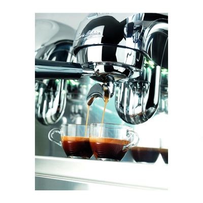 Victoria Arduino Adonis Style Espresso Kahve Makinesi, 2 Gruplu, Metalik