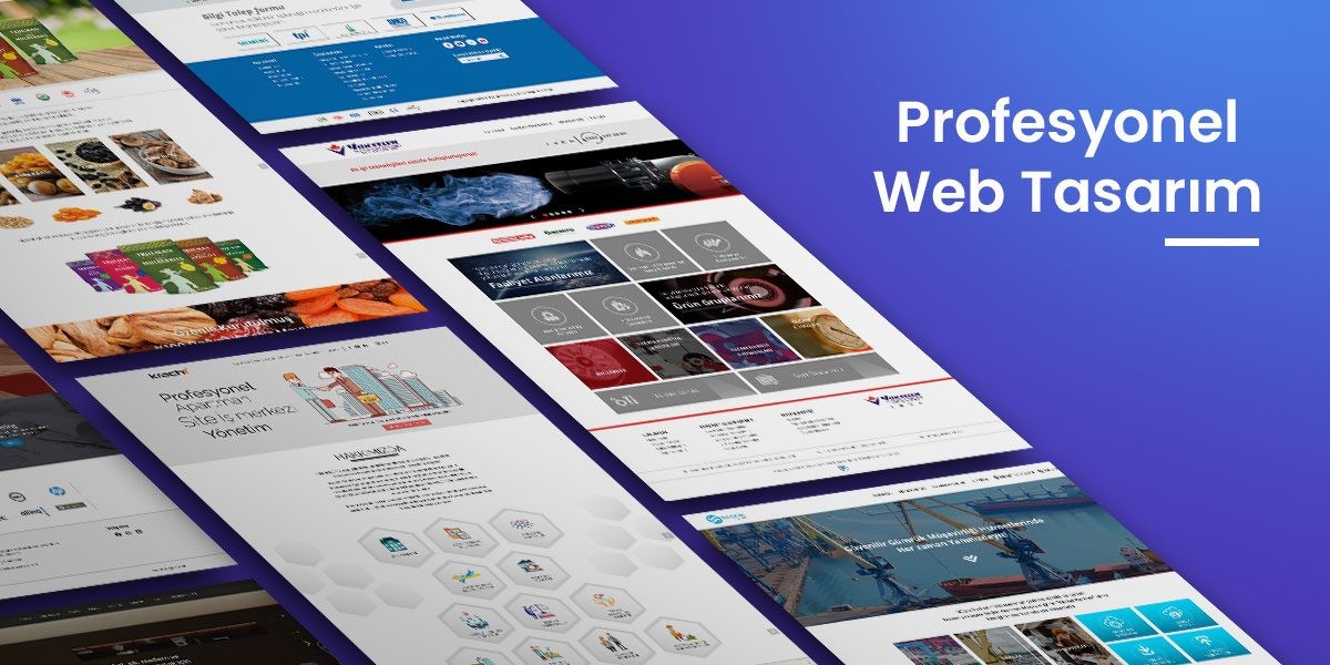 Profesyonel Web Sitesi