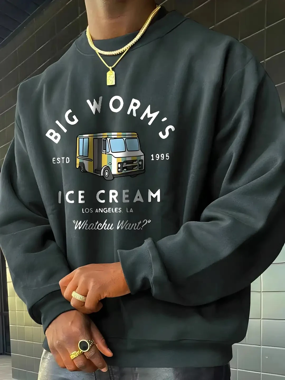 BIG WORM'S TREND SWEATSHIRT - antrisit