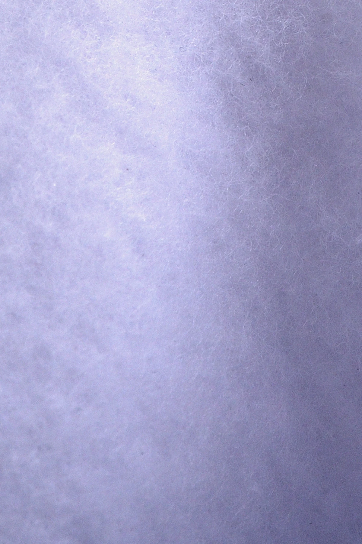 Parot Minimal Baskılı Kapüşonlu Üç Iplik Sweatshırt Oversıze Hoodıe