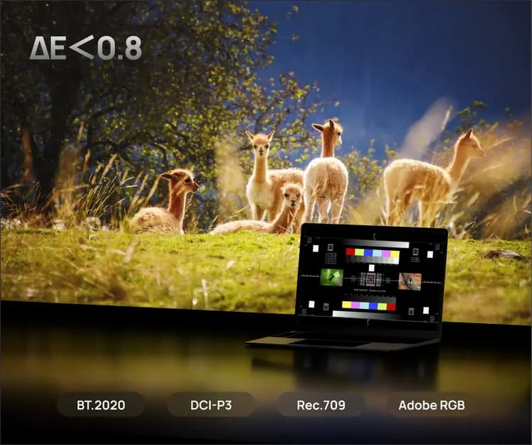 Delta E 0.8 altı renk doğruluğu - BT.2020, DCI-P3, Rec.709 ve Adobe RGB renk uzayı desteği
