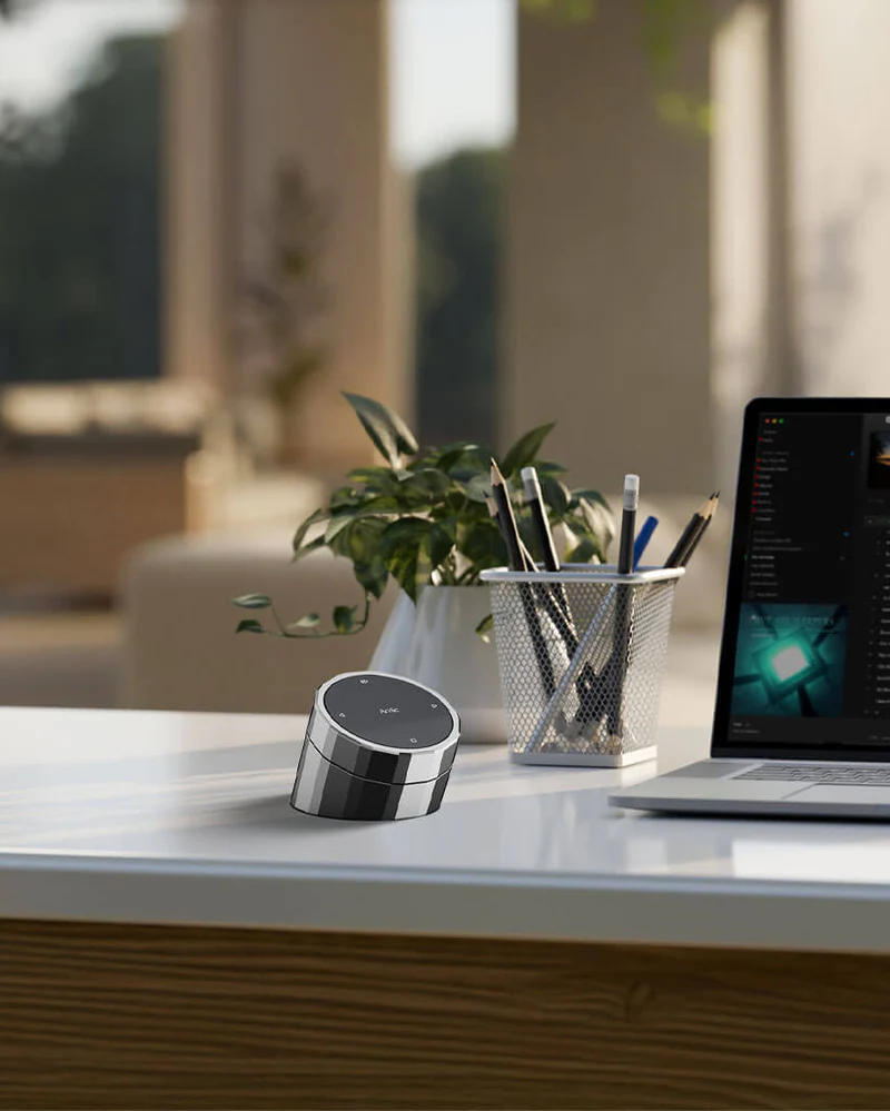 Arylic BK01 Lifestyle Uzaktan Kumanda