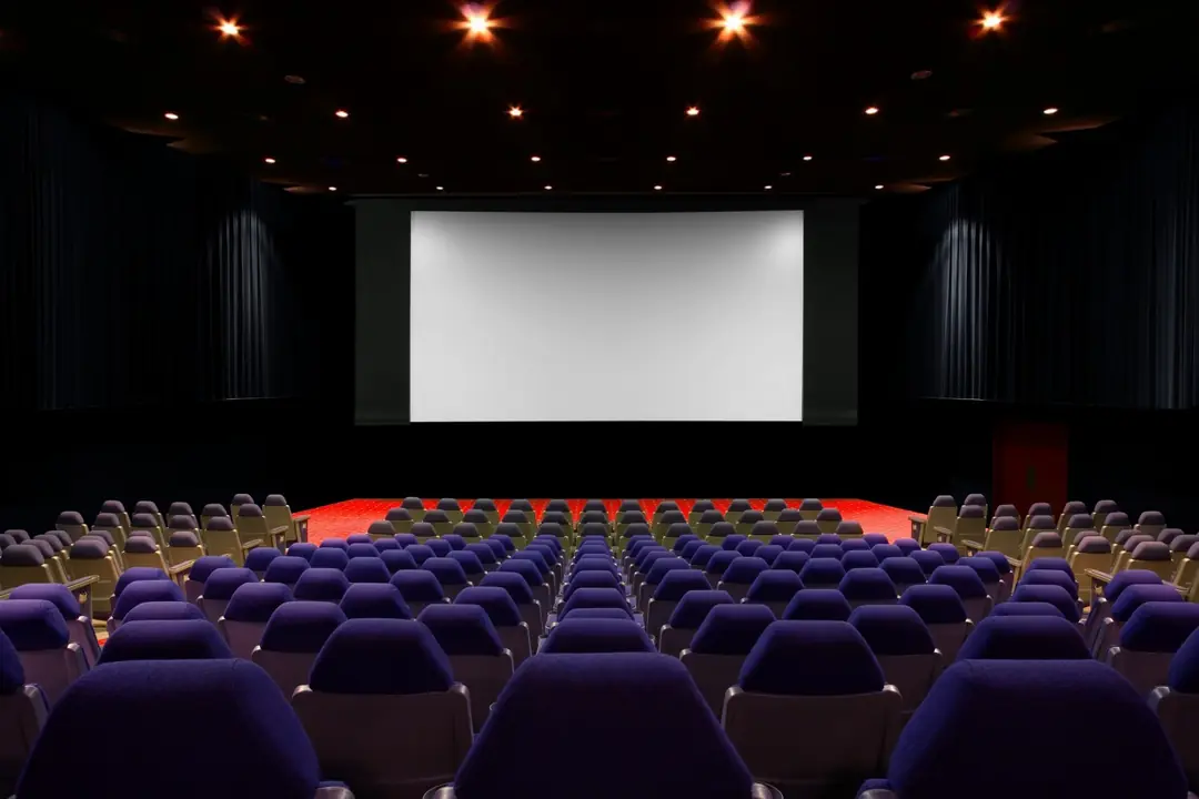 10 Mt Projeksiyon Perdesi