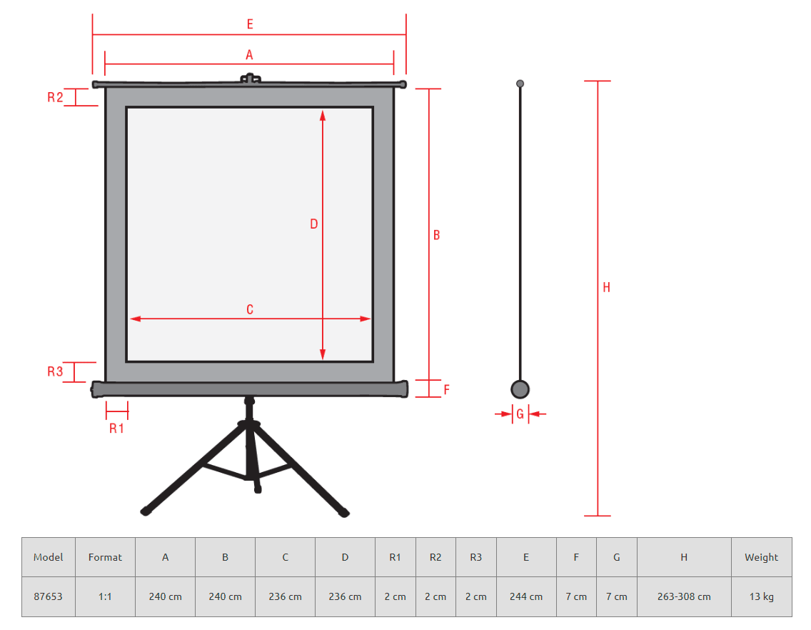 Reflecta CrystalLine Tripod Perde 240x240 cm