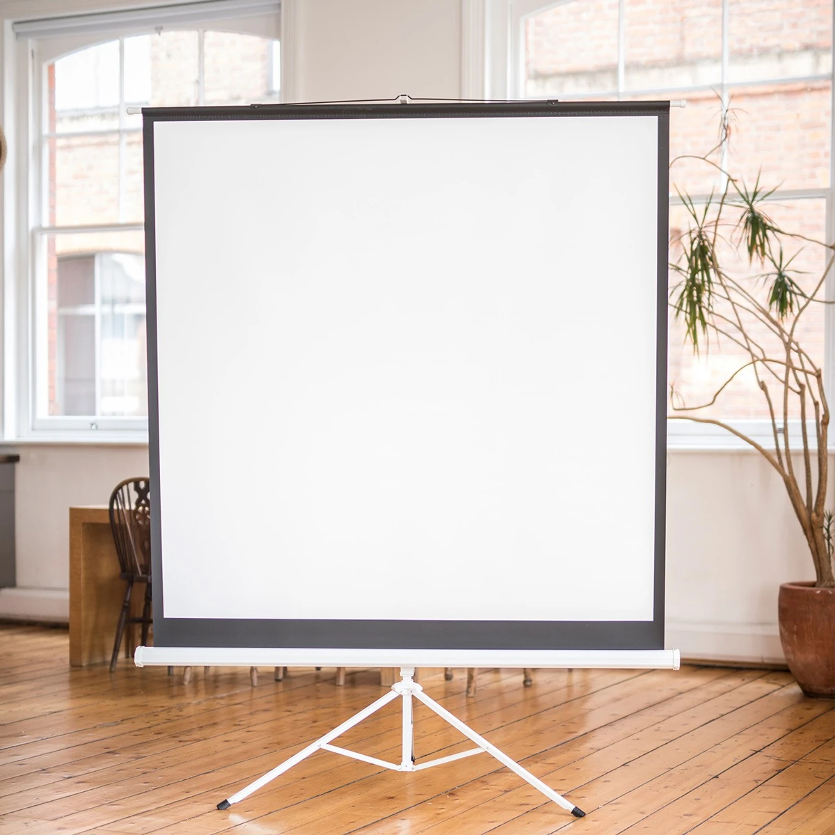 Proscreen Proscreen 180x180 Taşınabilir Tripod Perde