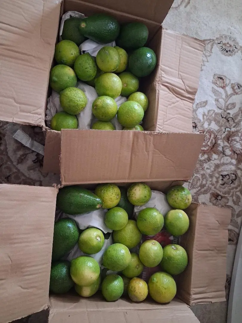 Müşteri fotoğrafı 4