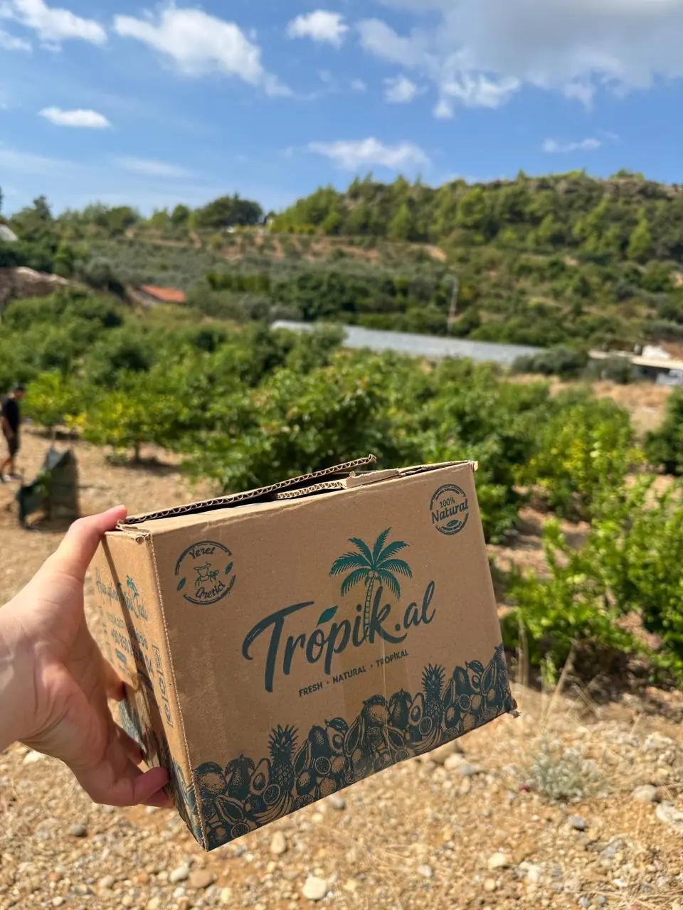 Tropik.al bahçe görüntüsü 4