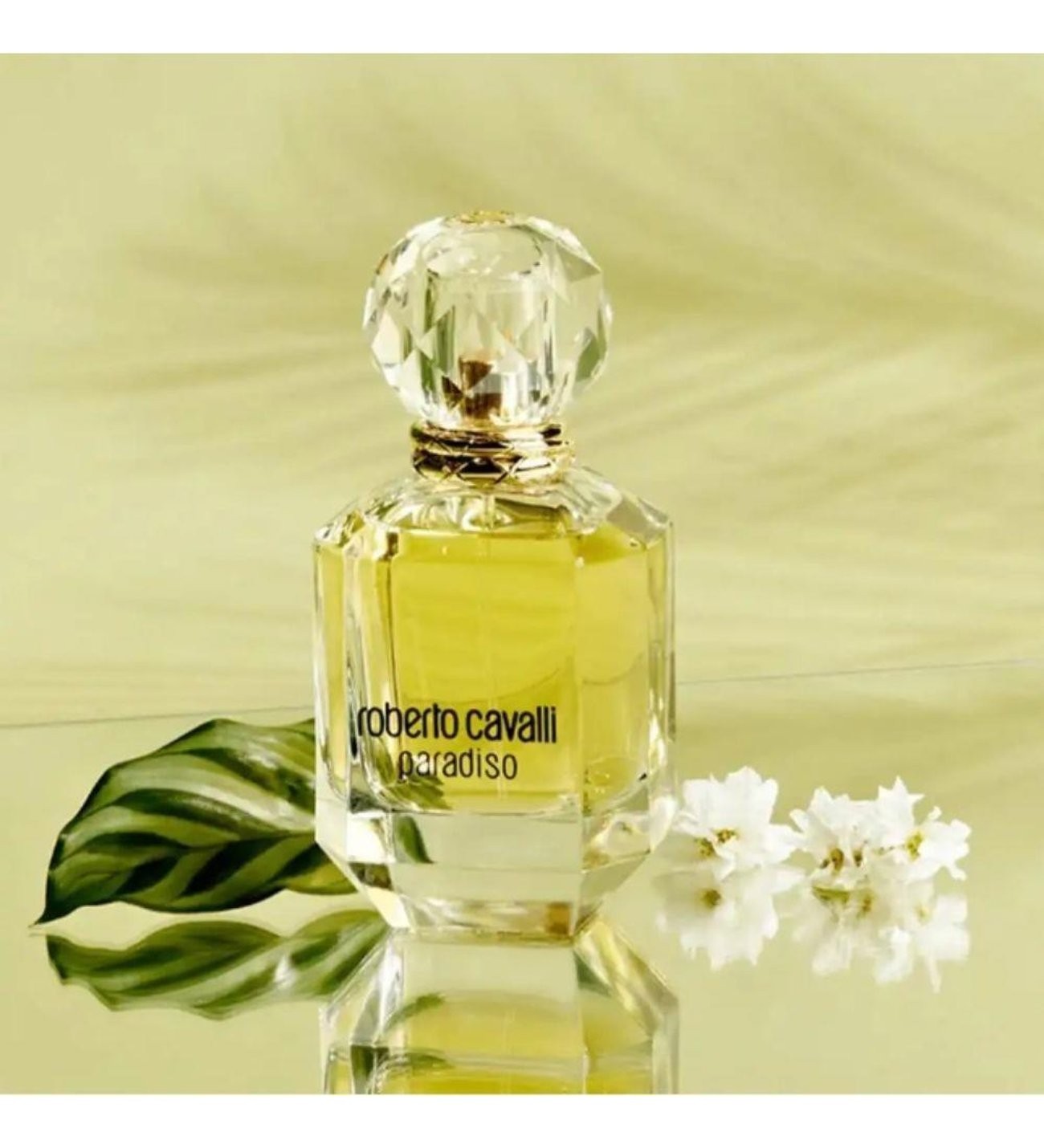 Roberto Cavalli Paradiso EDP 75 ML Kadın Parfüm