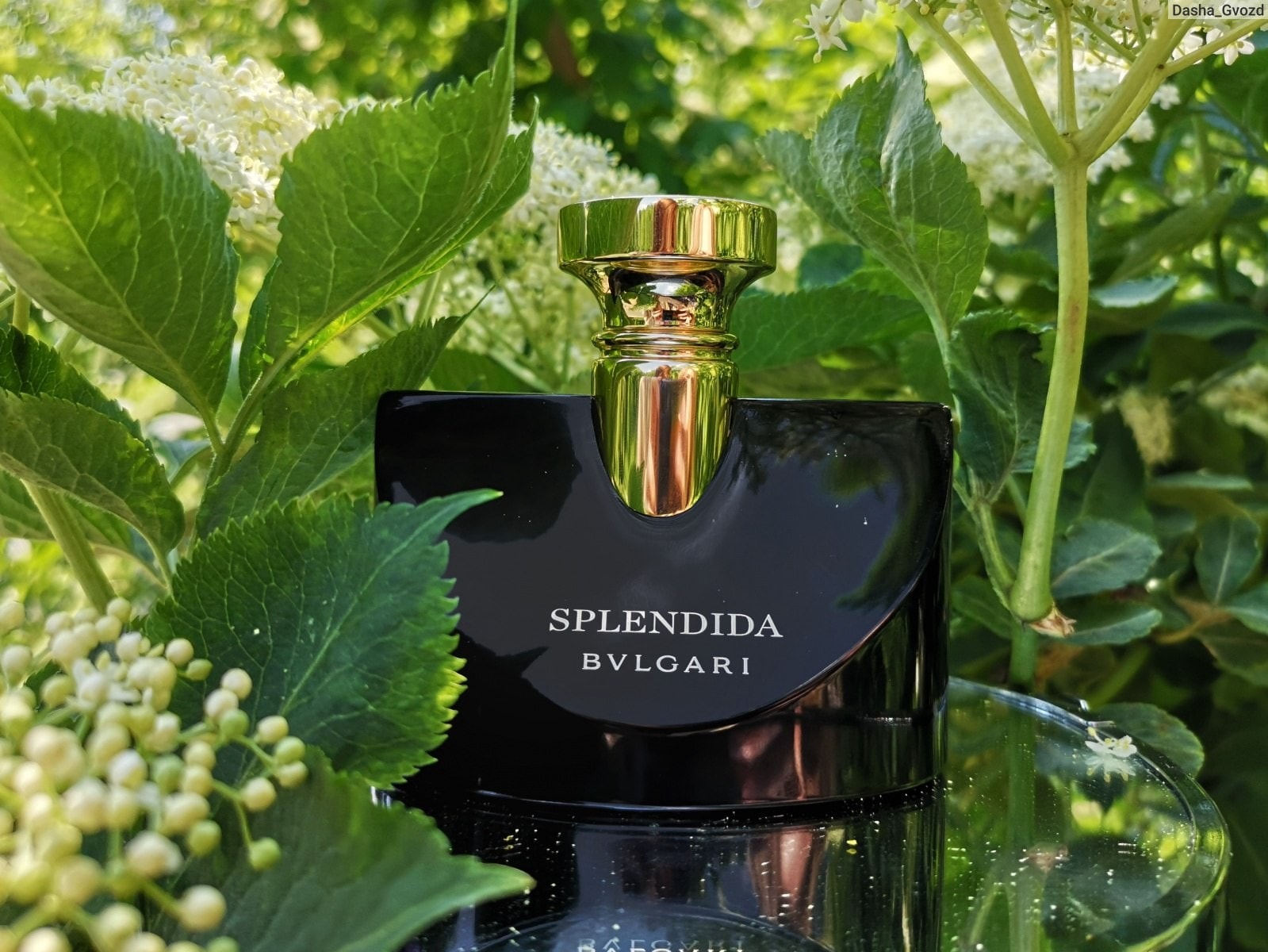 Bvlgari - Splendida Jasmin Noir EDP 100 ML Kadın Parfüm
